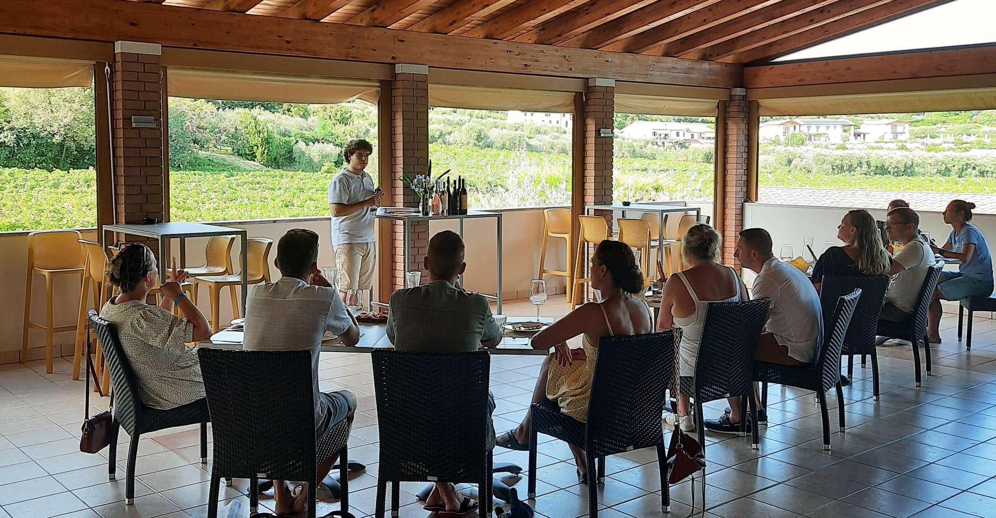 Bardolino, Vineyard Tour with Wine, Olive Oil & Food Tasting - Housity