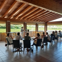 Bardolino, Vineyard Tour with Wine, Olive Oil & Food Tasting - Housity