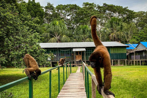 Excursão de dia inteiro à ilha dos macacos