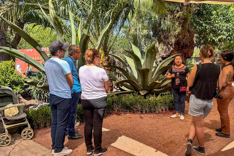 تيوتيهواكان، غوادالوبي، زوتشيميلكو كويواكان وفريدا كاهلوجولة في ضريح تيوتيهواكان وزوتشيميلكو وغ