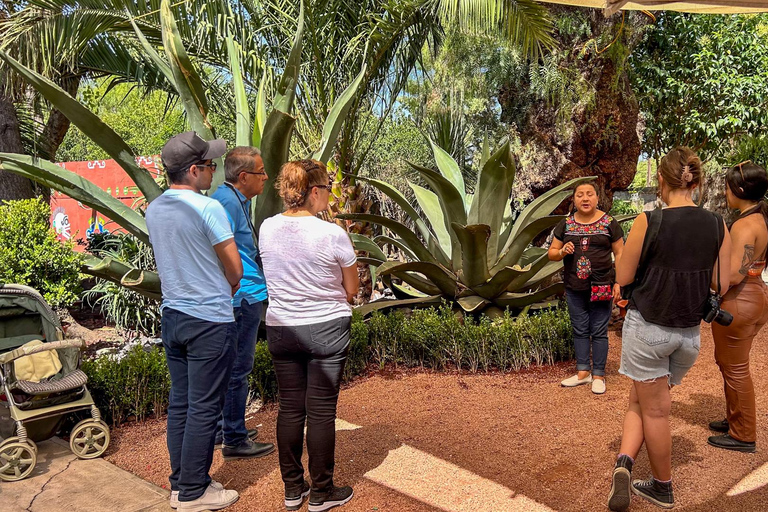 تيوتيهواكان، غوادالوبي، زوتشيميلكو كويواكان وفريدا كاهلوجولة في ضريح تيوتيهواكان وزوتشيميلكو وغ