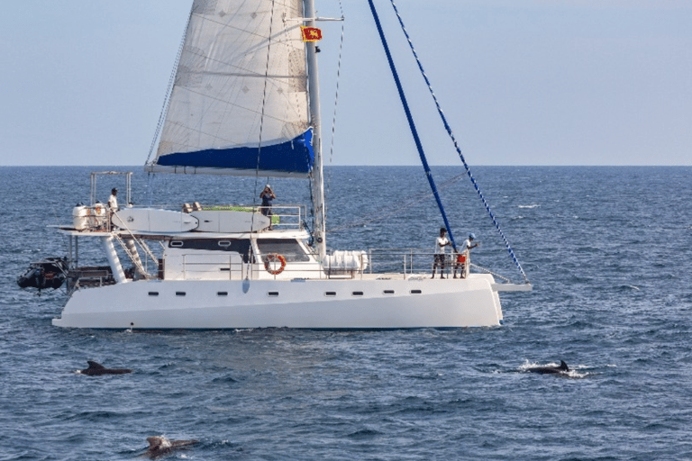 All Inclusive Sailing Day Experience in Colombo