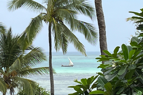 ZANZIBAR : VISITE DU LAGON BLEU