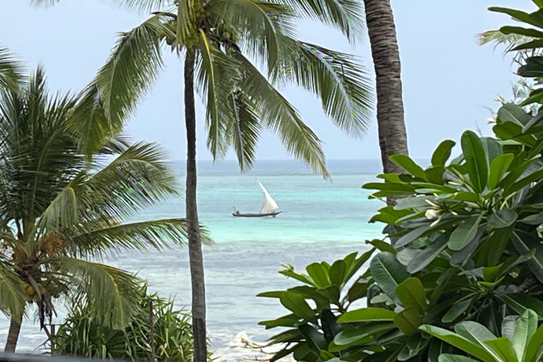 ZANZIBAR: WYCIECZKA PO BŁĘKITNEJ LAGUNIE