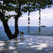 Phuket Rock Beach Swing