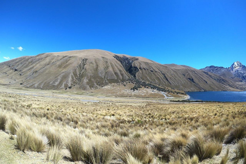 Huaraz : Journée complète à Chavin de Huantar