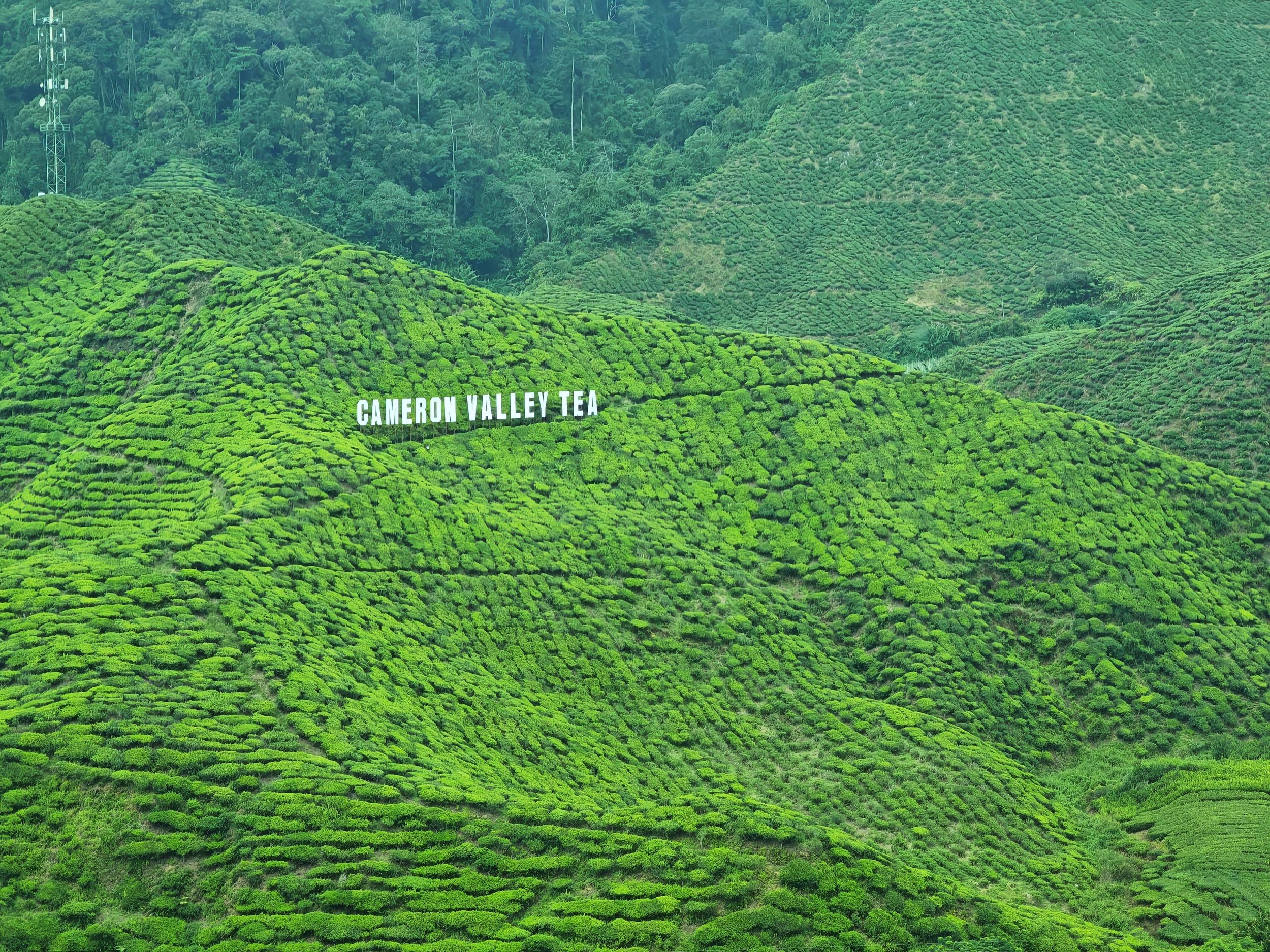 Kamerun Hochland : Beste Natur im Hochland