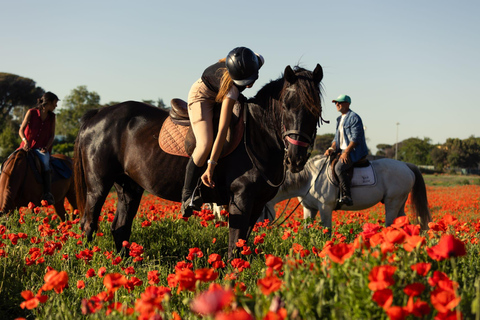 Horse Sanctuary in Rome Elevating the Ride: Summer in the Simbruini Mountains
