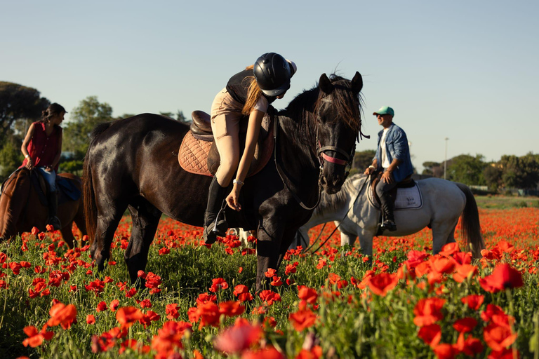 Horse Sanctuary in Rome Elevating the Ride: Summer in the Simbruini Mountains
