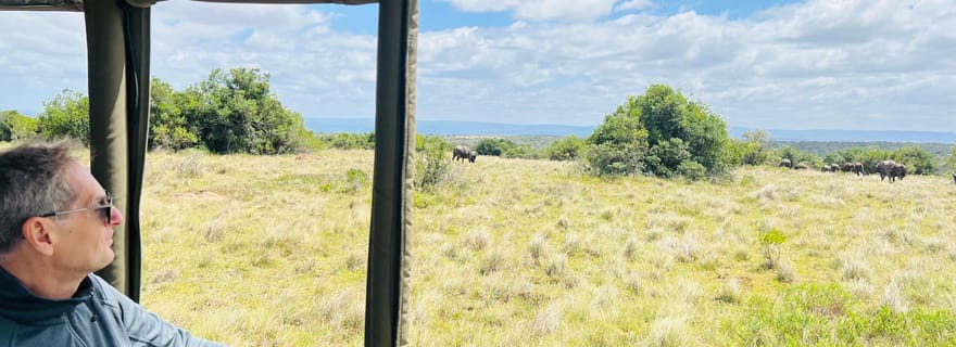 Port Elizabeth : Safari de 3 jours dans le parc national des éléphants d'Addo