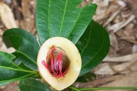 Spice Farm, Stone Town, Prison & Nakupenda+pick up+entry fee