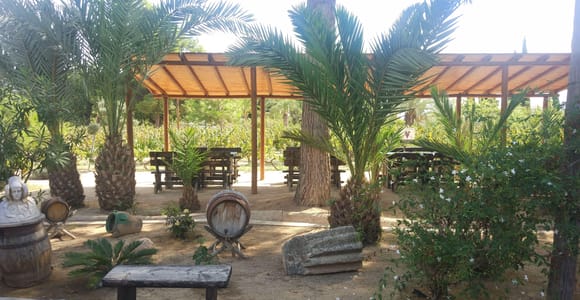 Von Alicante aus: Weingut in 3. Generation in Familienbesitz \ 4 Verkostungen