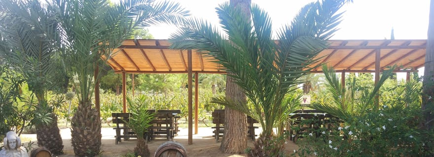 Alicante : Domaine viticole familial de trois générations (4 dégustations)