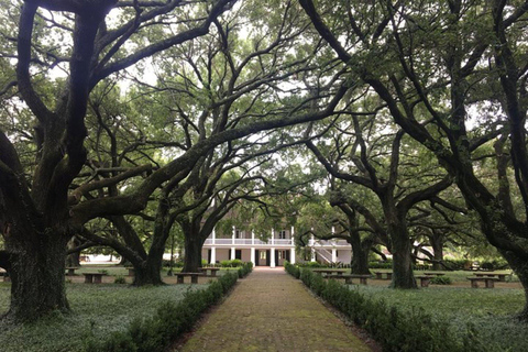 Von New Orleans aus: Whitney Plantation und Airboat Tour ComboWhitney Plantation und großes Airboat mit bis zu 18 Personen