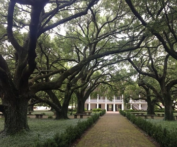 From New Orleans: Whitney Plantation and Airboat Tour Combo