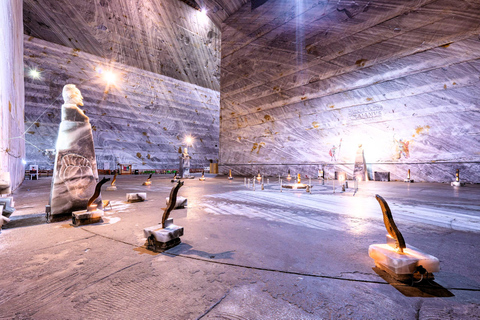 From Bucharest : Dracula's Tomb & Slanic Prahova Salt Mine Entrance Tickets included