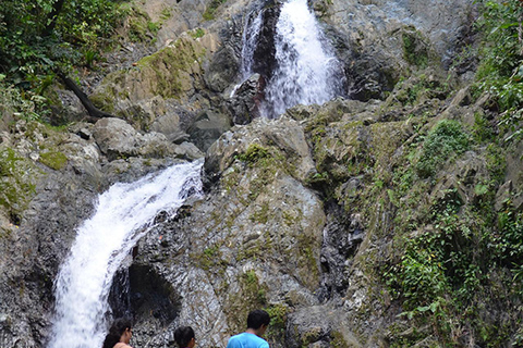 Tobago: Argyle Waterfall &amp; Tropical Garden with Hummingbirds