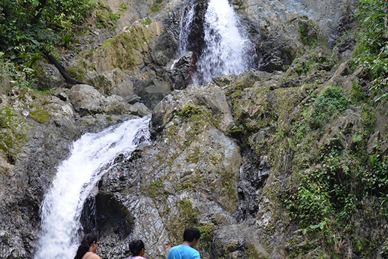 Tobago: Argyle Waterfall &amp; Tropical Garden with Hummingbirds