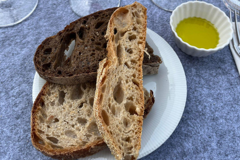 Soiana: tour dei vigneti e della cantina con degustazione di vini vicino a PisaInglese