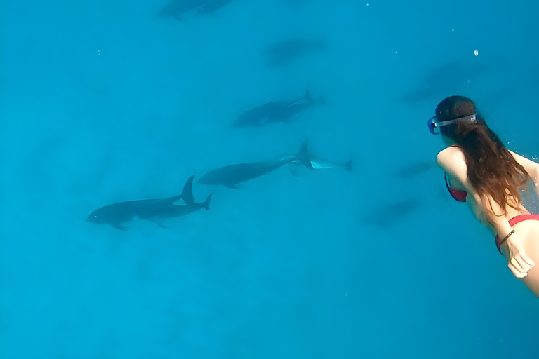 Sansibar-Strand-Erlebnis: Delphin und Schnorchel Bootstour