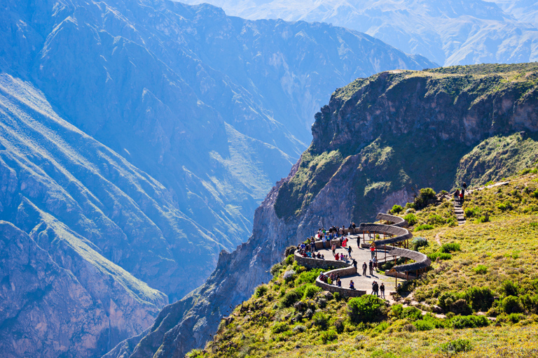 From Arequipa: Colca Canyon and Andean Wildlife Day Trip