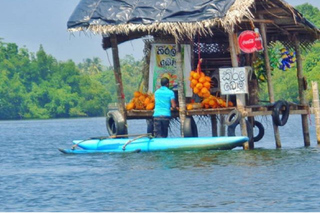 Madu Ganga Fluss-Safaris in Colombo