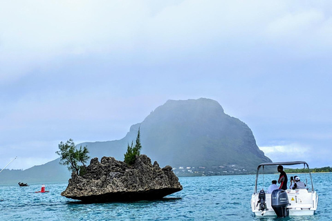 Privates Delphinschwimmen/Schnorcheln & Mittagessen auf der Insel Benitiers