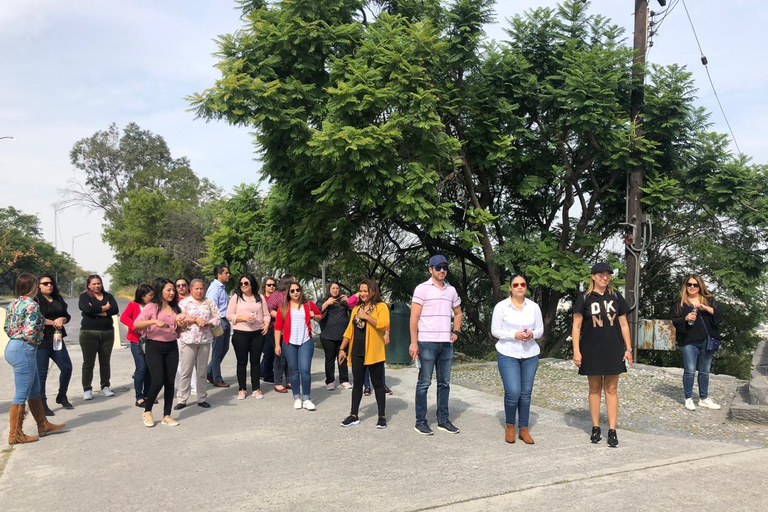 أفضل ما في مونتيري، مع الدليل والنقل والتذاكرأفضل الأماكن في مونتيري، مع الدليل والنقل والتذاكر