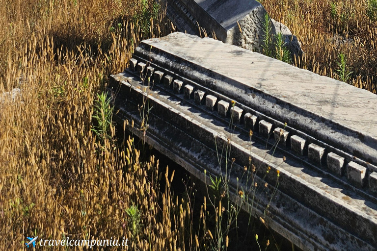 Pompeii skip-the-line group tour with an archaeologist