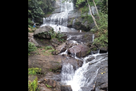 Wasserfälle von Athirapply oder Areekal Tour für 1 bis 8 Personen.Wasserfälle von Aathirapally für 1 bis 8 Personen