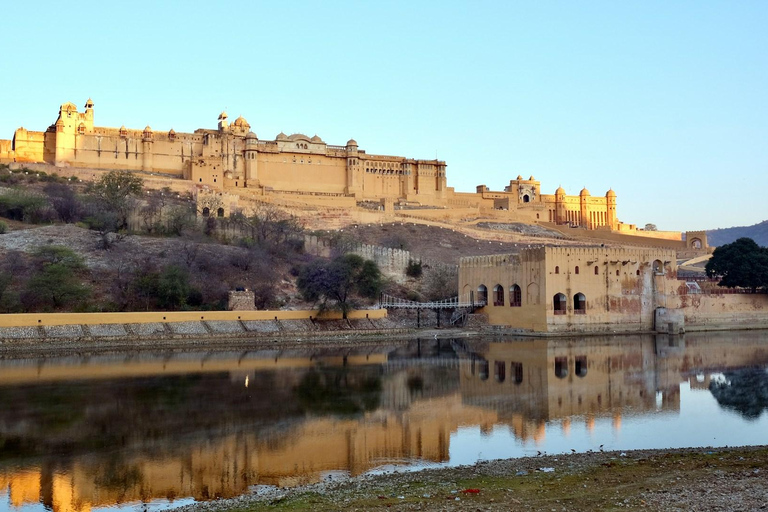 Jaipur: Excursão de meio dia ao Forte Amer, Jal Mahal e Stepwell