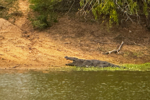 From Sigiriya: Wilpattu National Park Private Jeep Safari