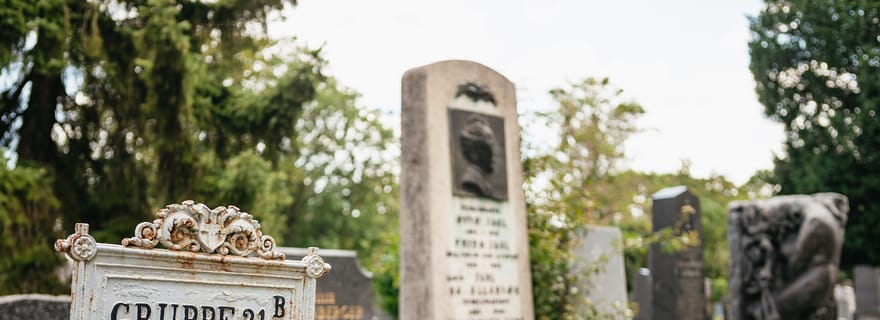 Vienne : Visite guidée du cimetière central de Vienne à pied