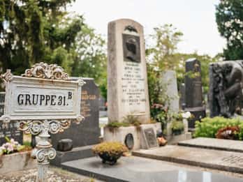 Vienna: Vienna Central Cemetery Guided Walking Tour