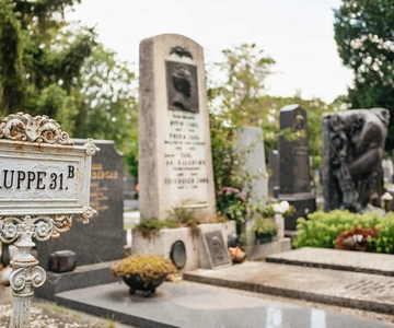 Vienna Central Cemetery Guided Walking Tour