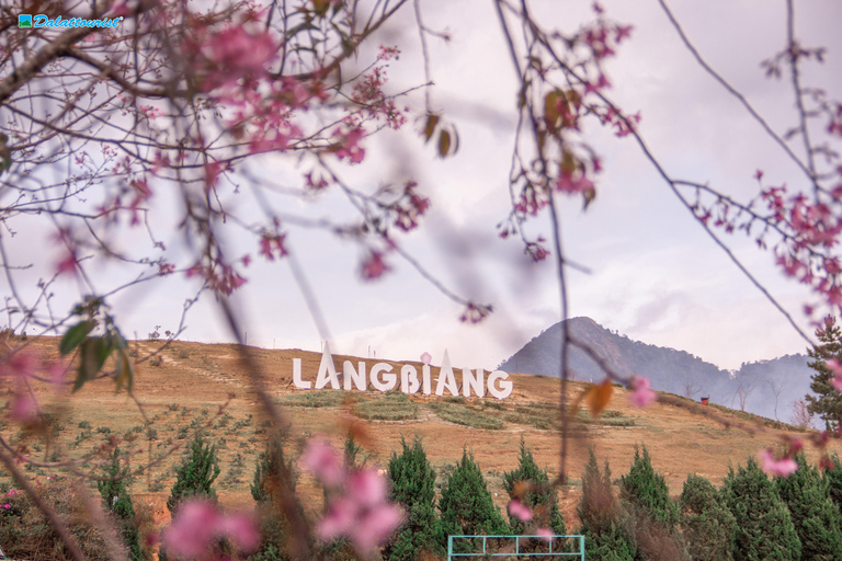 Da Lat: Langbiang Mountain Entry Ticket