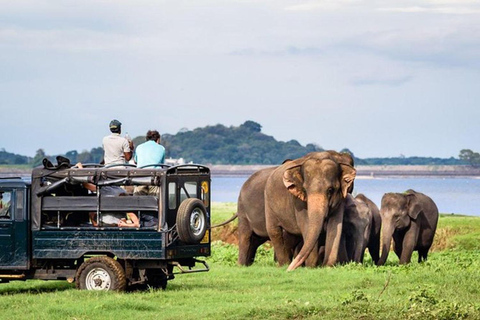 Kandy: Trincomalee Guided Cultural Heritage & Coastal Tour