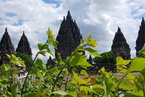 From Solo: Prambanan Temple Guided Tour with Train Ride