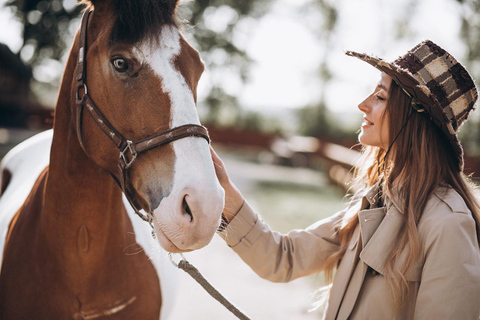 Lanzarote: Horseback Riding Tour to Pozo Beach