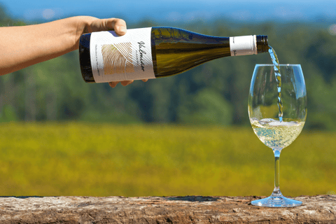 Il punto di vista di Valmiñor