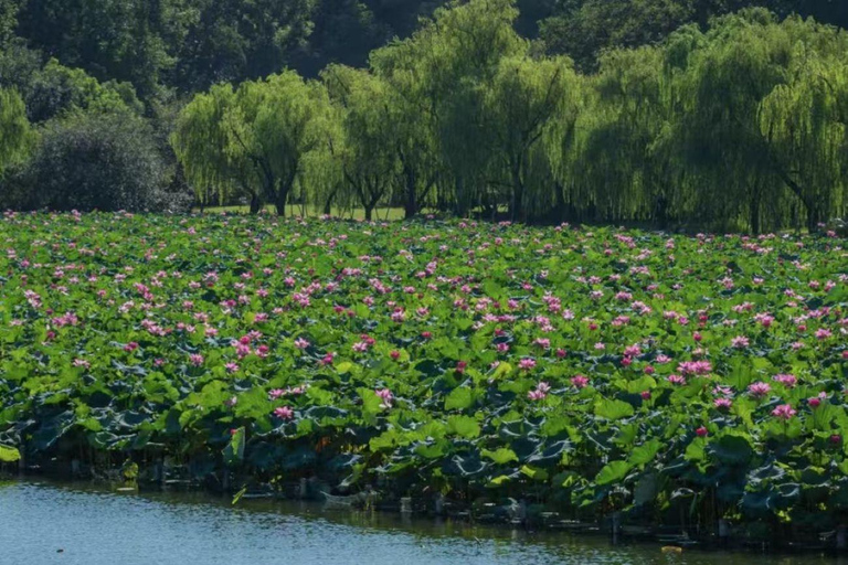 Hangzhou City Walk Tour: West Lake, Old City, Hiking, Garden