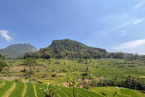 يوغياكارتا: جولة شاملة مع مرشد سير في تراس الأرزيوجياكارتا: جولة شاملة على مدرجات الأرز مع مرشد