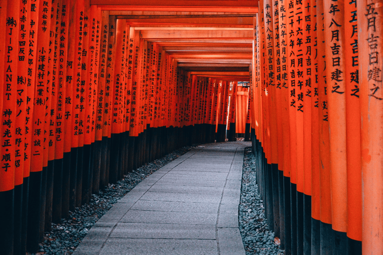 Japan: 7-dagars guidad tur med hotellövernattning