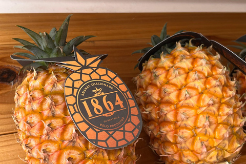 São Miguel: Sete Cidades, Lagoa do Fogo & Furnas - Full Day Tour