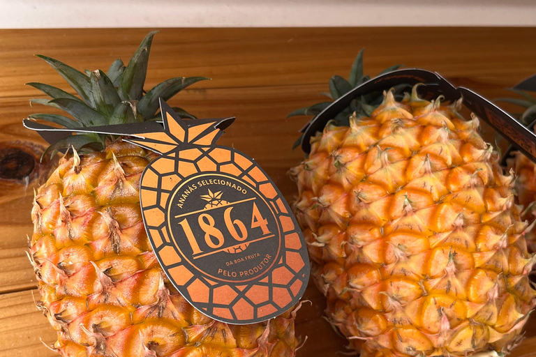 São Miguel: Sete Cidades, Lagoa do Fogo & Furnas - Full Day Tour