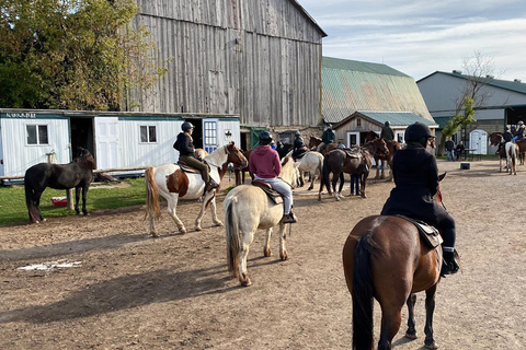 Excursión en autocaravana por el Parque Bronte Creek y a caballo