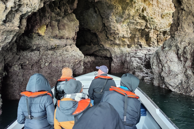 Lagos: tour de 1 hora a la gruta de Ponta da Piedade con guía localLagos: tour a la gruta de Ponta da Piedade con guía local