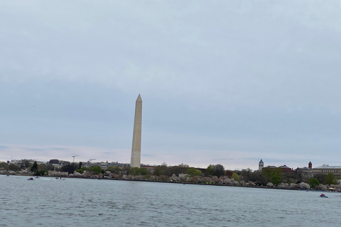 Washington DC: Tour a pie LGBTQWashington DC: Recorrido histórico por la experiencia LGBTQ