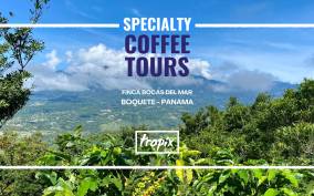Boquete, Panama: interactive Specialty Coffee Tour