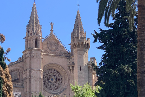 Palma de Mallorca: Private Guided Walking Tour with Tapas